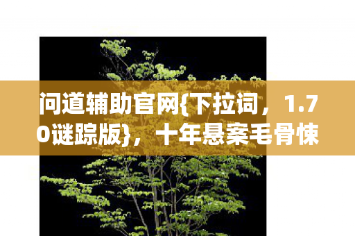 问道辅助官网{下拉词,1.70谜踪版},十年悬案毛骨悚然体验 问道辅助官网{下拉词,1.70谜踪版},十年悬案毛骨悚然体验
