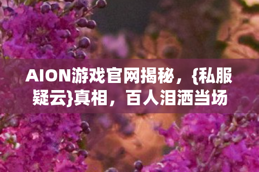 AION游戏官网揭秘，{私服疑云}真相，百人泪洒当场！
