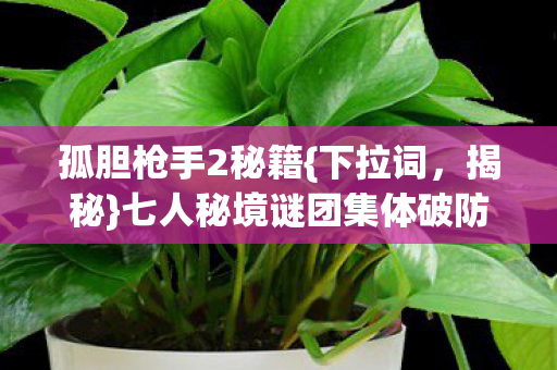 七人秘境谜团集体破防真相图片