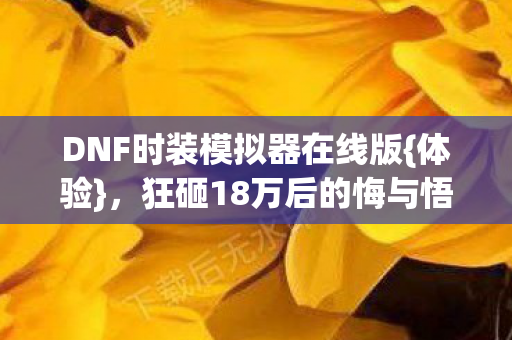DNF时装模拟器在线版{体验},狂砸18万后的悔与悟 DNF时装模拟器在线版{体验},狂砸18万后的悔与悟