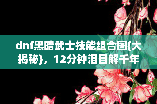 dnf黑暗武士技能组合图{大揭秘}，12分钟泪目解千年谜局