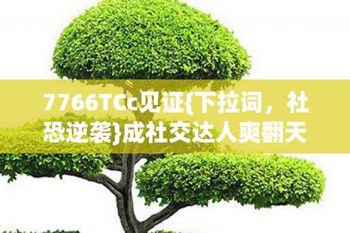 7766TCc见证图片