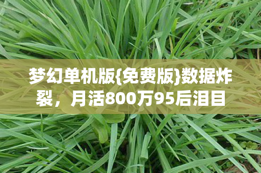 梦幻单机版{免费版}数据炸裂,月活800万95后泪目 梦幻单机版{免费版}数据炸裂,月活800万95后泪目