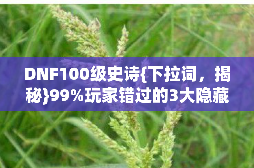 玩家错过的3大隐藏机制图片