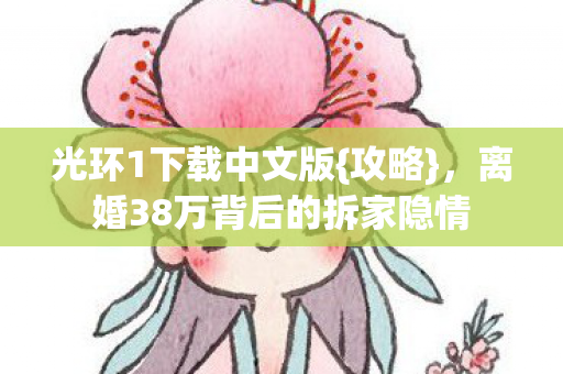 离婚38万背后的拆家隐情图片
