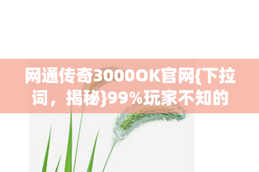 网通传奇3000OK官网图片