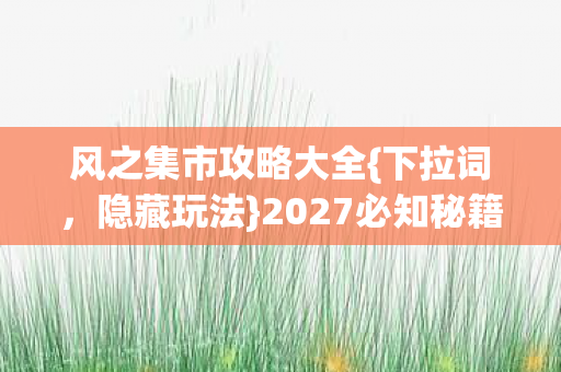 风之集市攻略大全图片