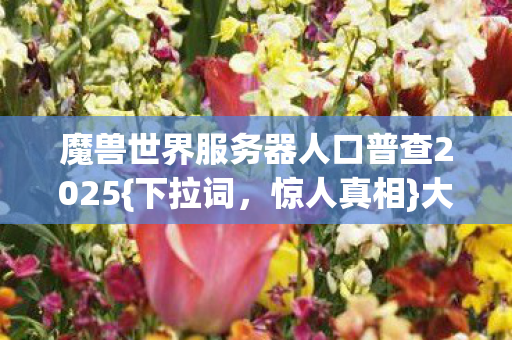 魔兽世界服务器人口普查2025图片