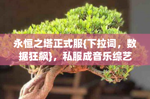 永恒之塔正式服{下拉词,数据狂飙},私服成音乐综艺新时尚 永恒之塔正式服{下拉词,数据狂飙},私服成音乐综艺新时尚