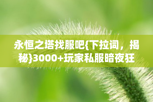 永恒之塔找服吧{下拉词,揭秘}3000+玩家私服暗夜狂欢真相 永恒之塔找服吧{下拉词,揭秘}3000+玩家私服暗夜狂欢真相