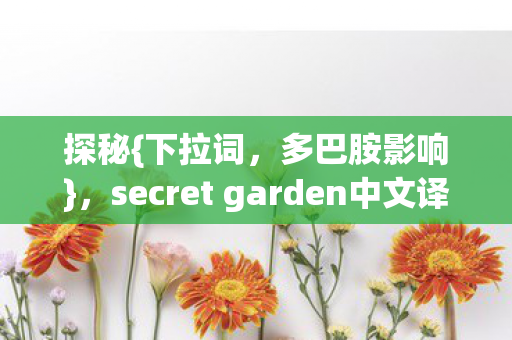 探秘{下拉词,多巴胺影响},secret garden中文译与心理实验细思极恐 探秘{下拉词,多巴胺影响},secret garden中文译与心理实验细思极恐