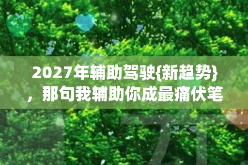 2027年辅助驾驶{新趋势},那句我辅助你成最痛伏笔 2027年辅助驾驶{新趋势},那句我辅助你成最痛伏笔
