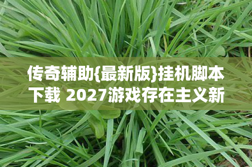 传奇辅助{最新版}挂机脚本下载 2027游戏存在主义新篇 传奇辅助{最新版}挂机脚本下载 2027游戏存在主义新篇