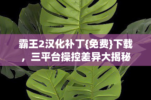 三平台操控差异大揭秘图片