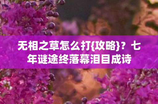 七年谜途终落幕泪目成诗图片