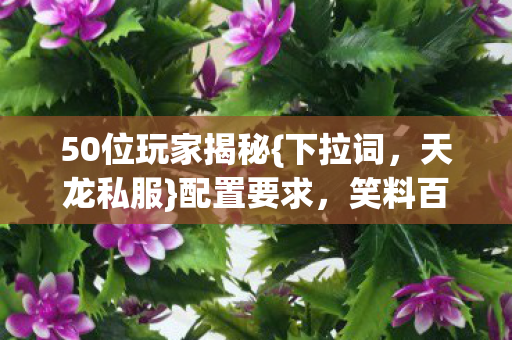50位玩家揭秘图片