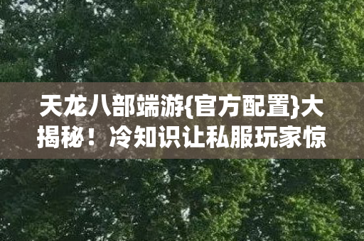 冷知识让私服玩家惊呆图片