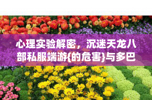 沉迷天龙八部私服端游图片