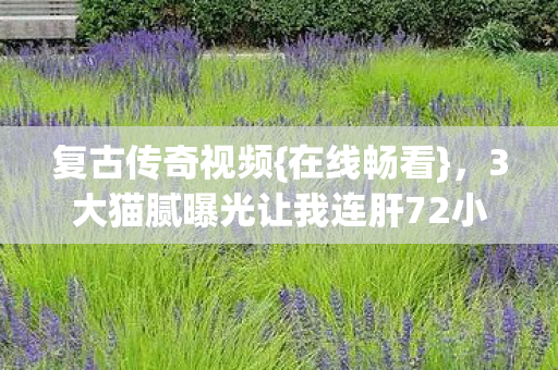 复古传奇视频{在线畅看},3大猫腻曝光让我连肝72小时 复古传奇视频{在线畅看},3大猫腻曝光让我连肝72小时
