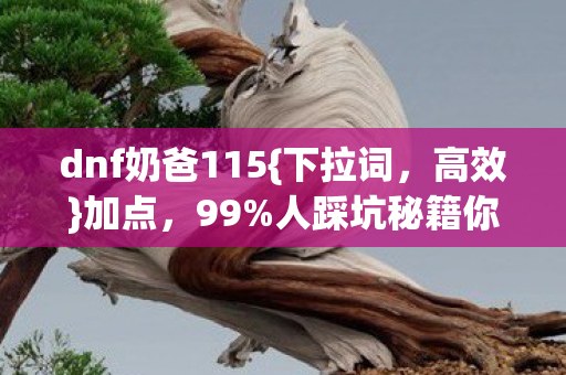dnf奶爸115图片