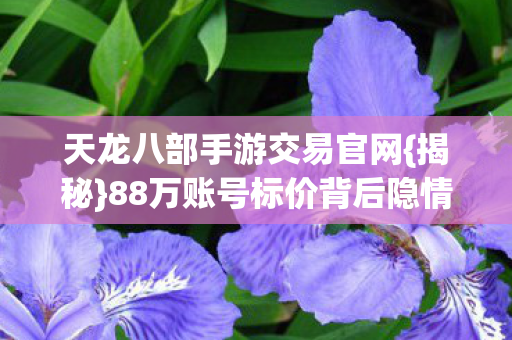88万账号标价背后隐情图片