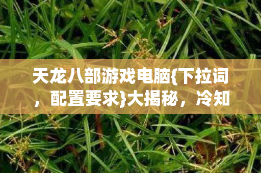 天龙八部游戏电脑图片