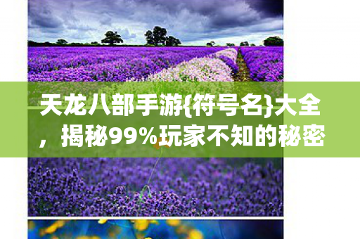玩家不知的秘密图片