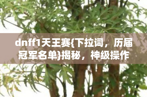 dnff1天王赛图片