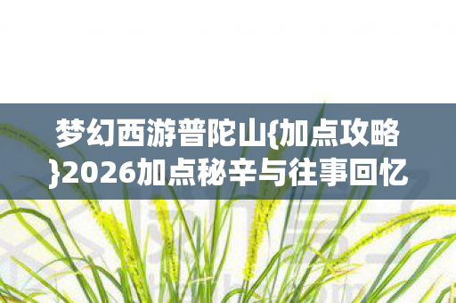 2026加点秘辛与往事回忆图片