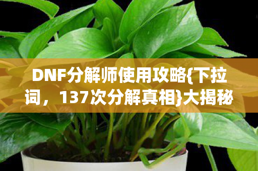 DNF分解师使用攻略图片
