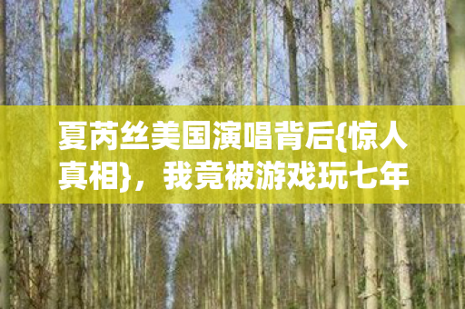夏芮丝美国演唱背后图片