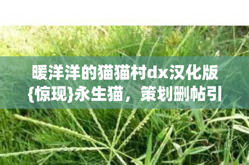 暖洋洋的猫猫村dx汉化版图片