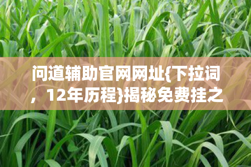 问道辅助官网网址{下拉词，12年历程}揭秘免费挂之谜