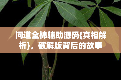 问道全棉辅助源码{真相解析},破解版背后的故事 问道全棉辅助源码{真相解析},破解版背后的故事