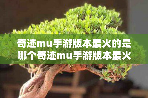 奇迹mu手游版本最火的是哪个奇迹mu手游版本最火的是哪个图片