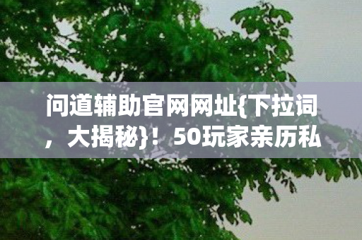 问道辅助官网网址{下拉词,大揭秘}!50玩家亲历私服疑云 问道辅助官网网址{下拉词,大揭秘}!50玩家亲历私服疑云