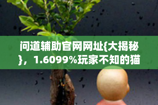问道辅助官网网址{大揭秘},1.6099%玩家不知的猫腻 问道辅助官网网址{大揭秘},1.6099%玩家不知的猫腻
