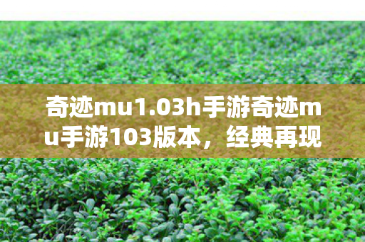 03h手游奇迹mu手游103版本图片