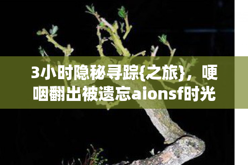 3小时隐秘寻踪{之旅}，哽咽翻出被遗忘aionsf时光