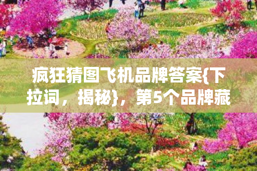 疯狂猜图飞机品牌答案{下拉词，揭秘}，第5个品牌藏惊人秘密