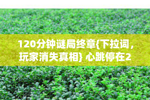 120分钟谜局终章{下拉词,玩家消失真相} 心跳停在2027年 120分钟谜局终章{下拉词,玩家消失真相} 心跳停在2027年