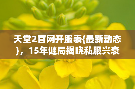 天堂2官网开服表{最新动态},15年谜局揭晓私服兴衰 天堂2官网开服表{最新动态},15年谜局揭晓私服兴衰