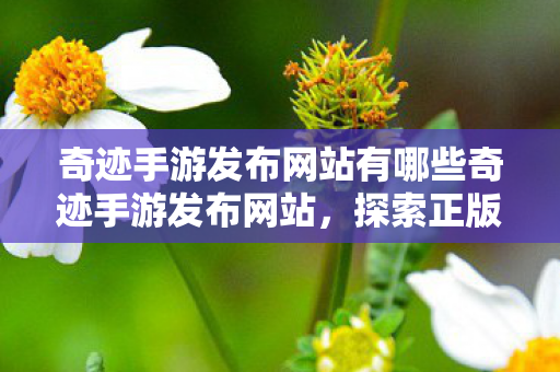 奇迹手游发布网站有哪些奇迹手游发布网站图片