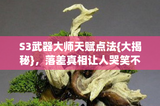 S3武器大师天赋点法{大揭秘}，落差真相让人哭笑不得
