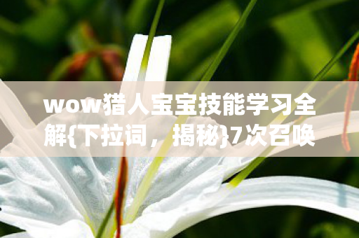 wow猎人宝宝技能学习全解{下拉词，揭秘}7次召唤异变真相