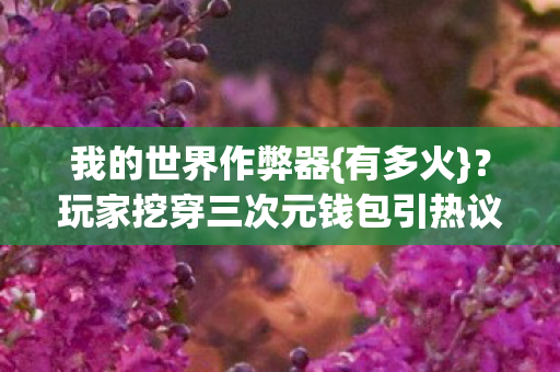 玩家挖穿三次元钱包引热议图片