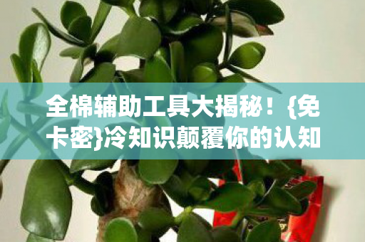 全棉辅助工具大揭秘！{免卡密}冷知识颠覆你的认知