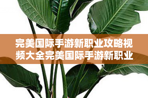 完美国际手游新职业攻略视频大全完美国际手游新职业攻略视频图片