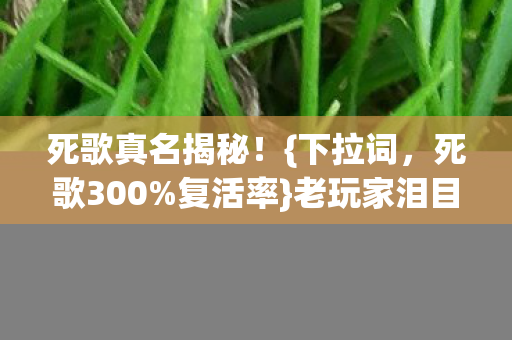 死歌真名揭秘！{下拉词，死歌300%复活率}老玩家泪目情怀杀