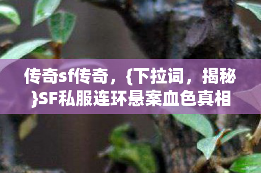 传奇sf传奇,{下拉词,揭秘}SF私服连环悬案血色真相 传奇sf传奇,{下拉词,揭秘}SF私服连环悬案血色真相